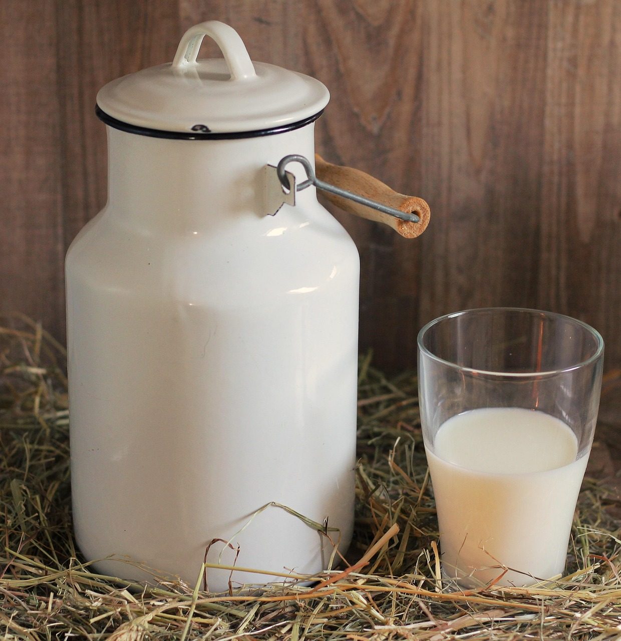 Cultured Milk