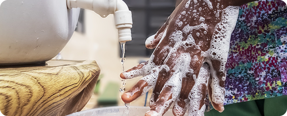 Milking Hygiene Protocols